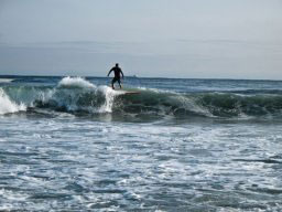 surfs up